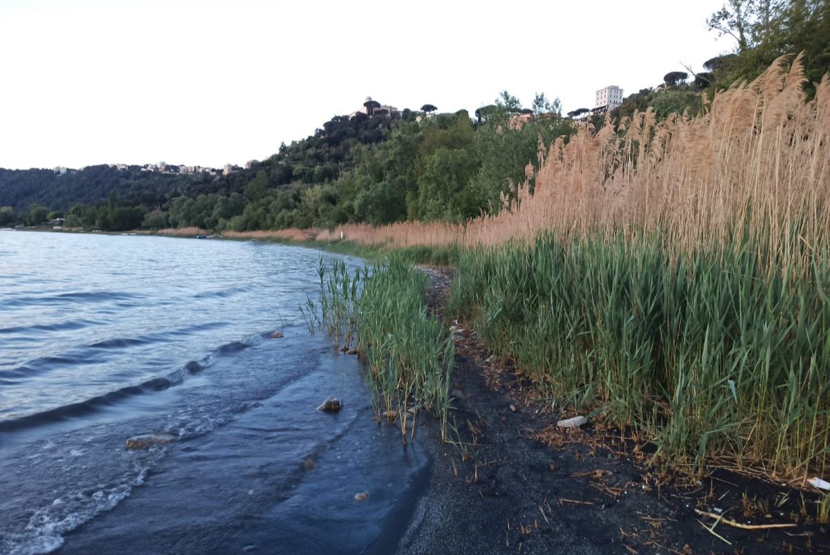 Abbassamento acque Lago Albano. Associazioni criticano la mancata collaborazione di Comuni e Parco dei Castelli Romani
