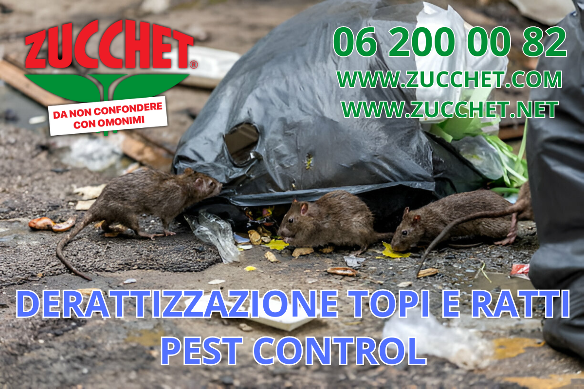 Derattizzazione a Roma: come affrontare l'infestazione da topi e ratti