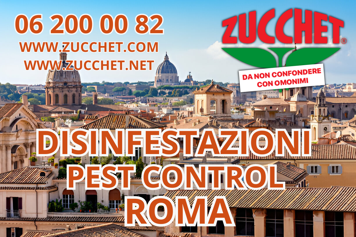 Disinfestazioni a Roma: come liberare la tua casa dagli insetti