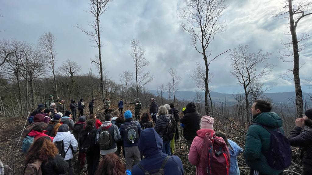 Castelli Romani. Una rete di foreste protette per combattere i cambiamenti climatici