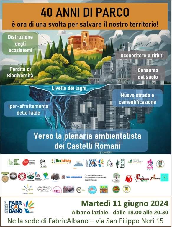 Plenaria ambientalista - locandina