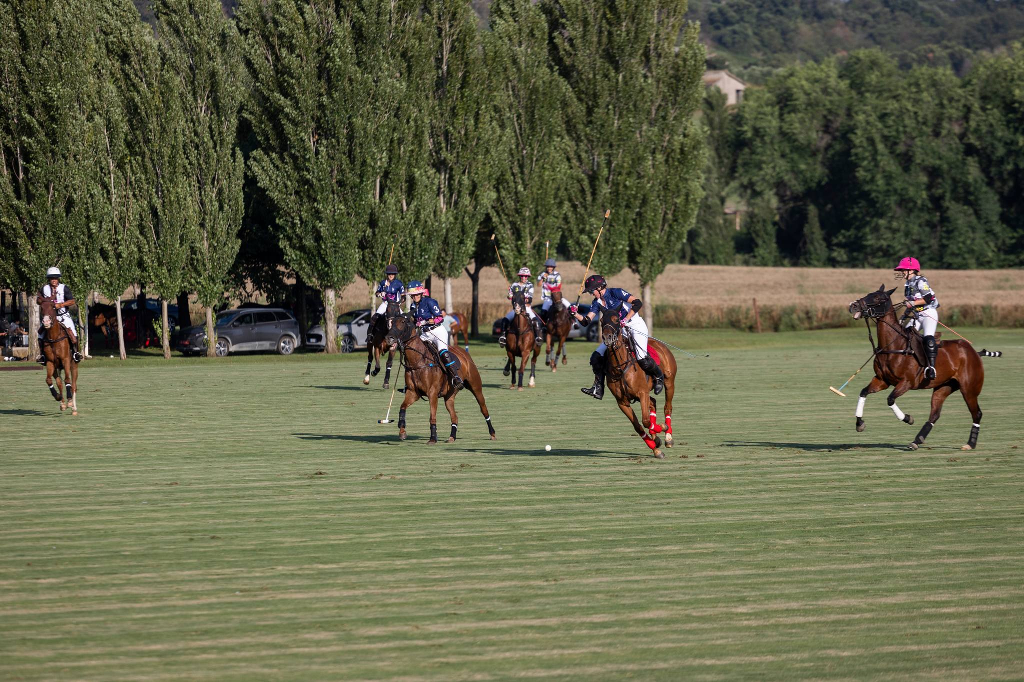 "Polo for the Cure": sabato 6 luglio la parata a Monte Compatri