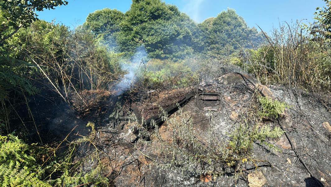 Grottaferrata. Incendio in zona Tuscolo: intervento tempestivo di Protezione Civile e Polizia Locale