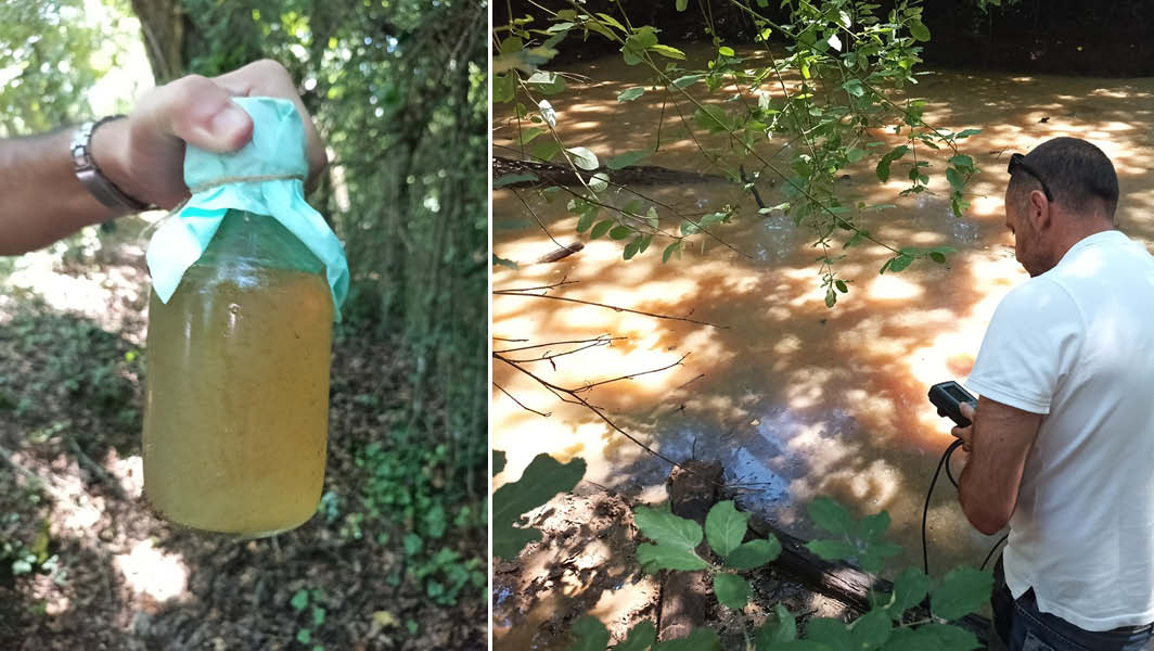 Il pantano della Doganella diventa arancione: richiesto l'intervento del Ministero dell'Ambiente