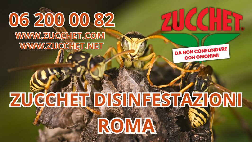 Disinfestazioni vespe - Zucchet Service S.r.l.