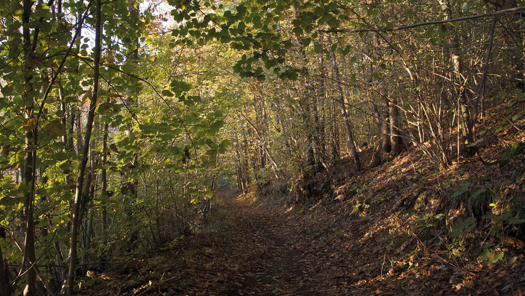 Parco dei Castelli Romani