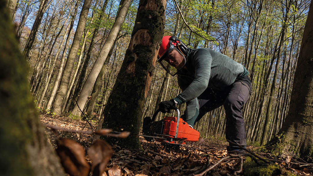 Operatore forestale con motosega durante un intervento di taglio in un bosco del Parco dei Castelli Romani.