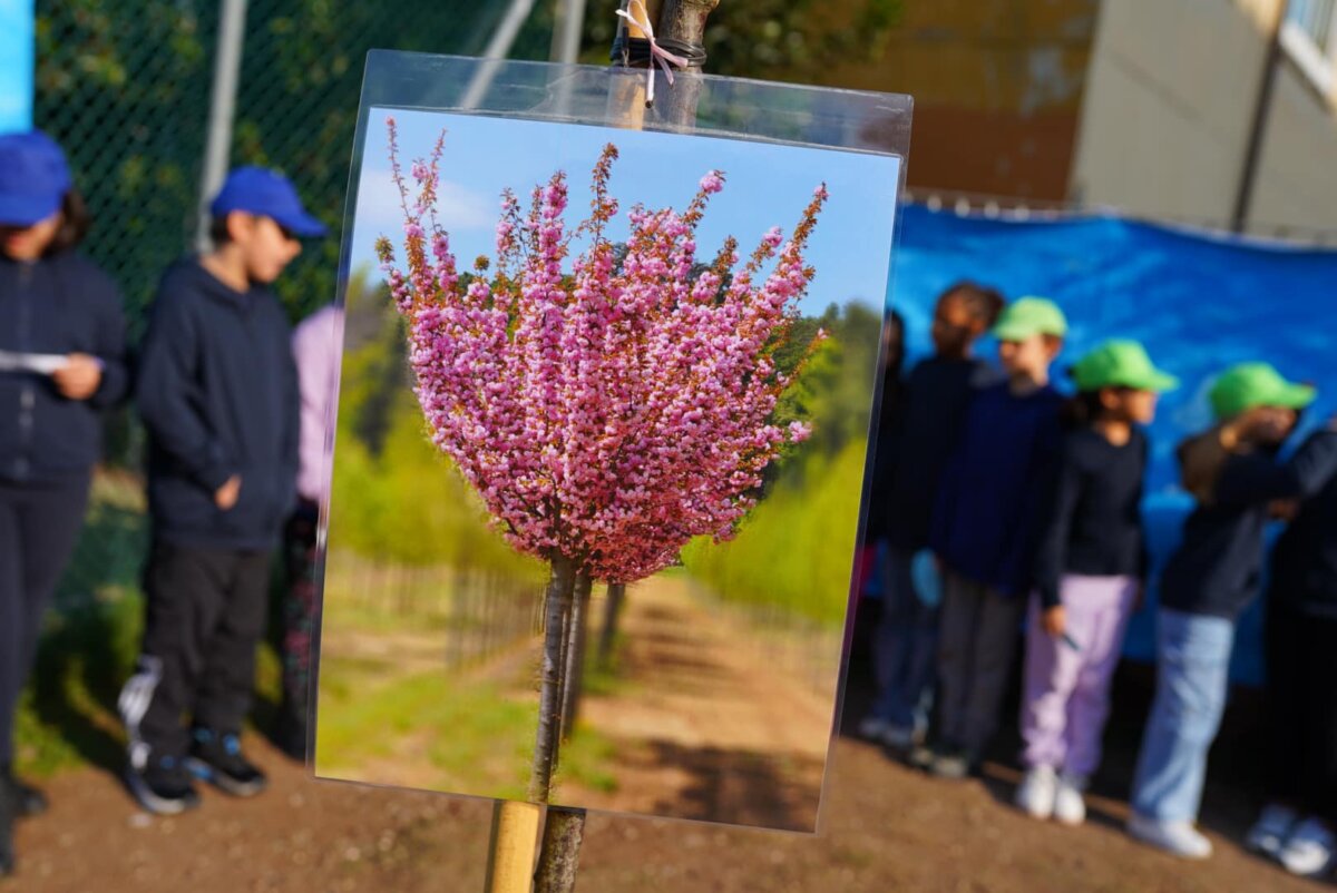 Cerimonia di commemorazione per la maestra Paola Iannamorelli presso la scuola Paola Sarro di Ciampino