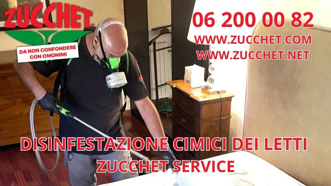 Tecnico di Zucchet Service esegue la disinfestazione delle cimici dei letti in una stanza, indossando maschera protettiva e utilizzando attrezzature specializzate.