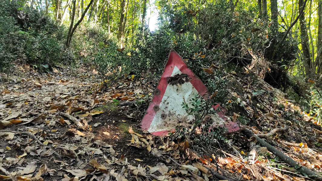 Un segnale stradale abbandonato e arrugginito giace tra le foglie in un sentiero boschivo a Rocca di Papa.