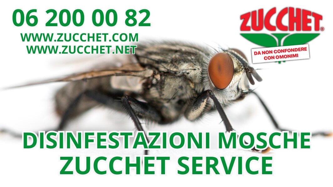 disinfestazione-mosche-roma-zucchet-service