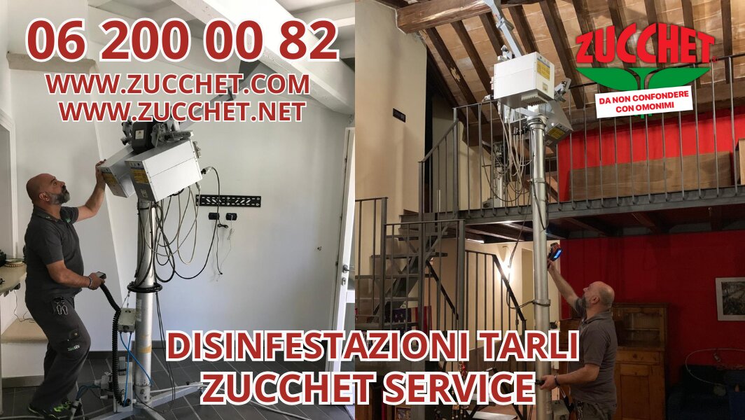 Tecnici di Zucchet Service al lavoro per una disinfestazione da tarli del legno con attrezzature professionali.