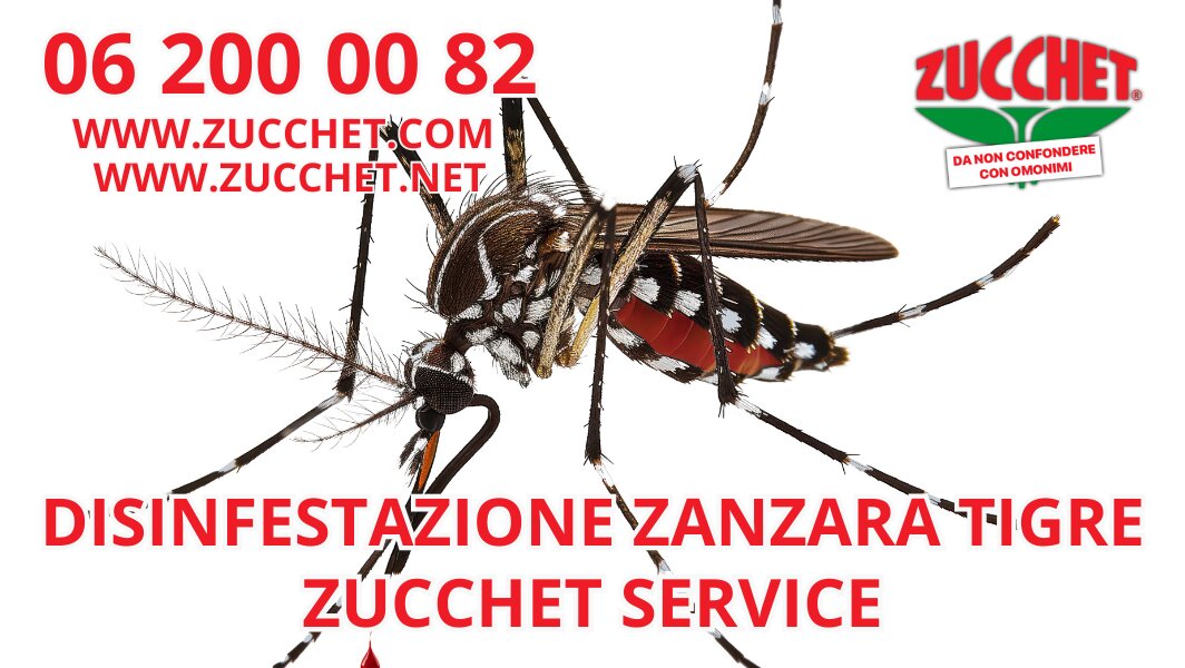 Primo piano di una zanzara tigre con dettagli evidenti delle sue striature bianche e nere, accompagnata dal logo e dai contatti di Zucchet Service per la disinfestazione.